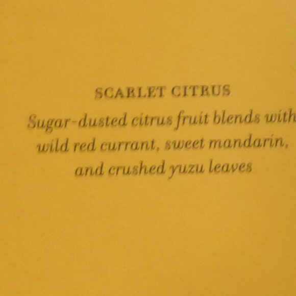 NIB - Anthropologie - Marcello Velho Catwalk Candle Gift Set - Picture 6 of 7